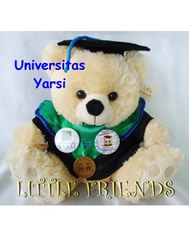 Boneka Wisuda Universitas Yarsi - Bisnis (30 cm)